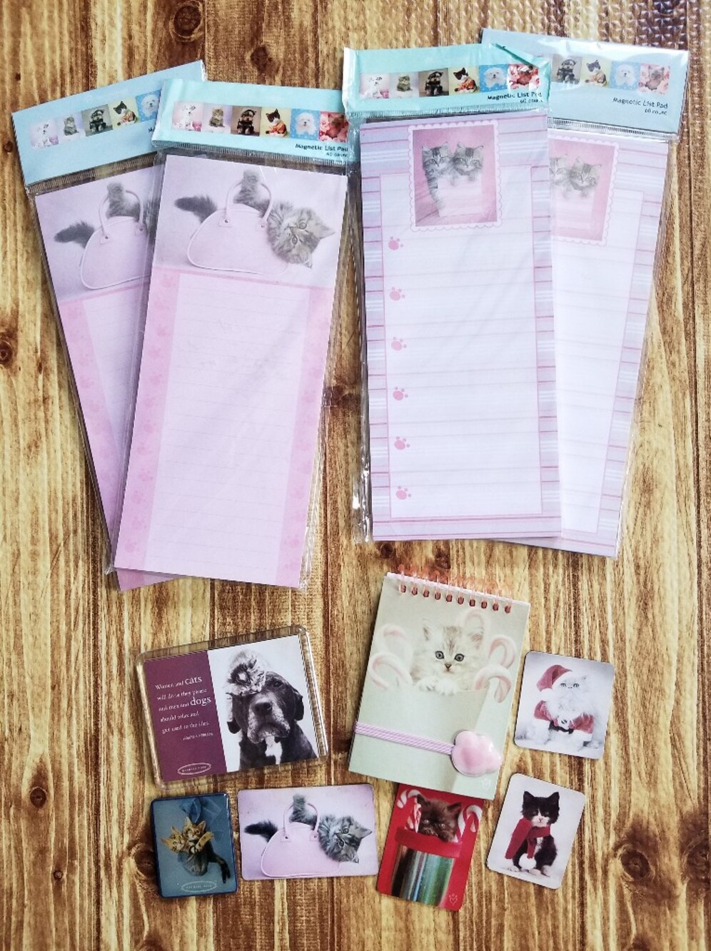 Rachael Hale Cat Office Set Magnetic Notepads Notebook Magnets Kittens Pink